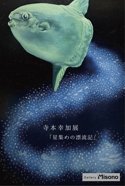 寺本幸加展「星集めの漂流記」